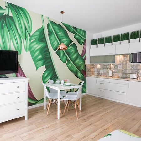 Cozy Modern Studio Green Apartment In Old Town Krasków Exterior foto