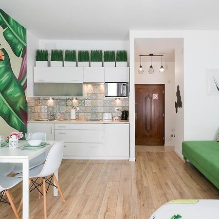 Cozy Modern Studio Green Apartment In Old Town Krasków Exterior foto