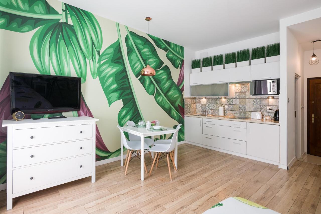 Cozy Modern Studio Green Apartment In Old Town Krasków Exterior foto